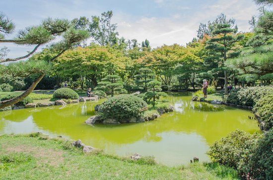 Jardín japonés