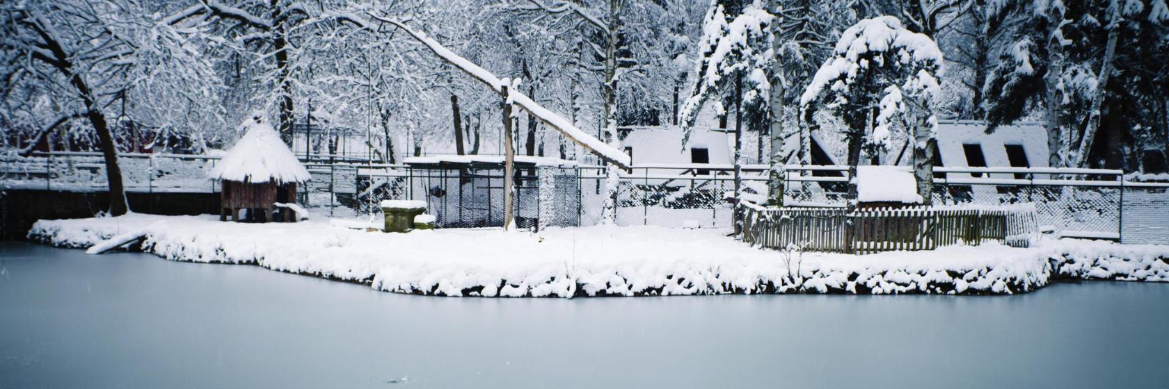 Parque de Košutnjak