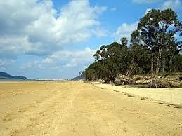 Playa El Regaton