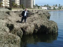 Playa del Pudrimel