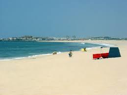 Praia de Árvore