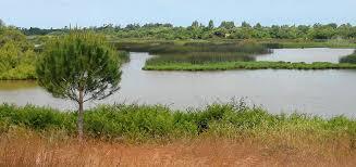 Charco de la Boca