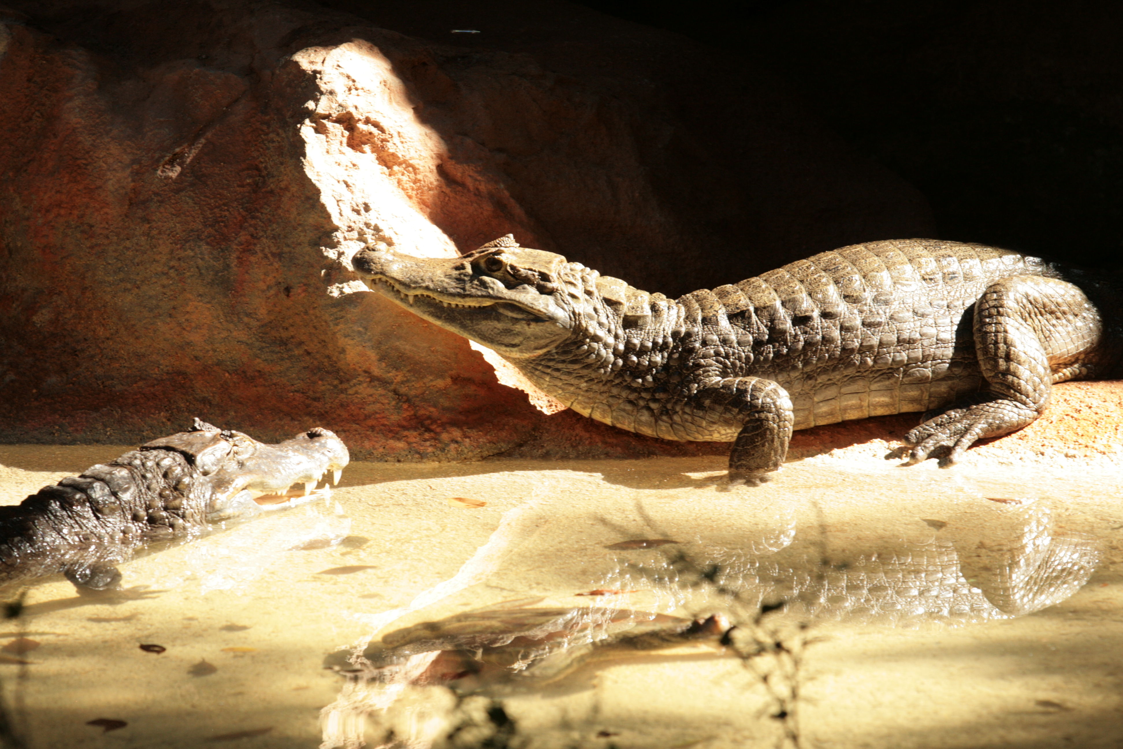 Zoológico Dr. Juan A. Rivero
