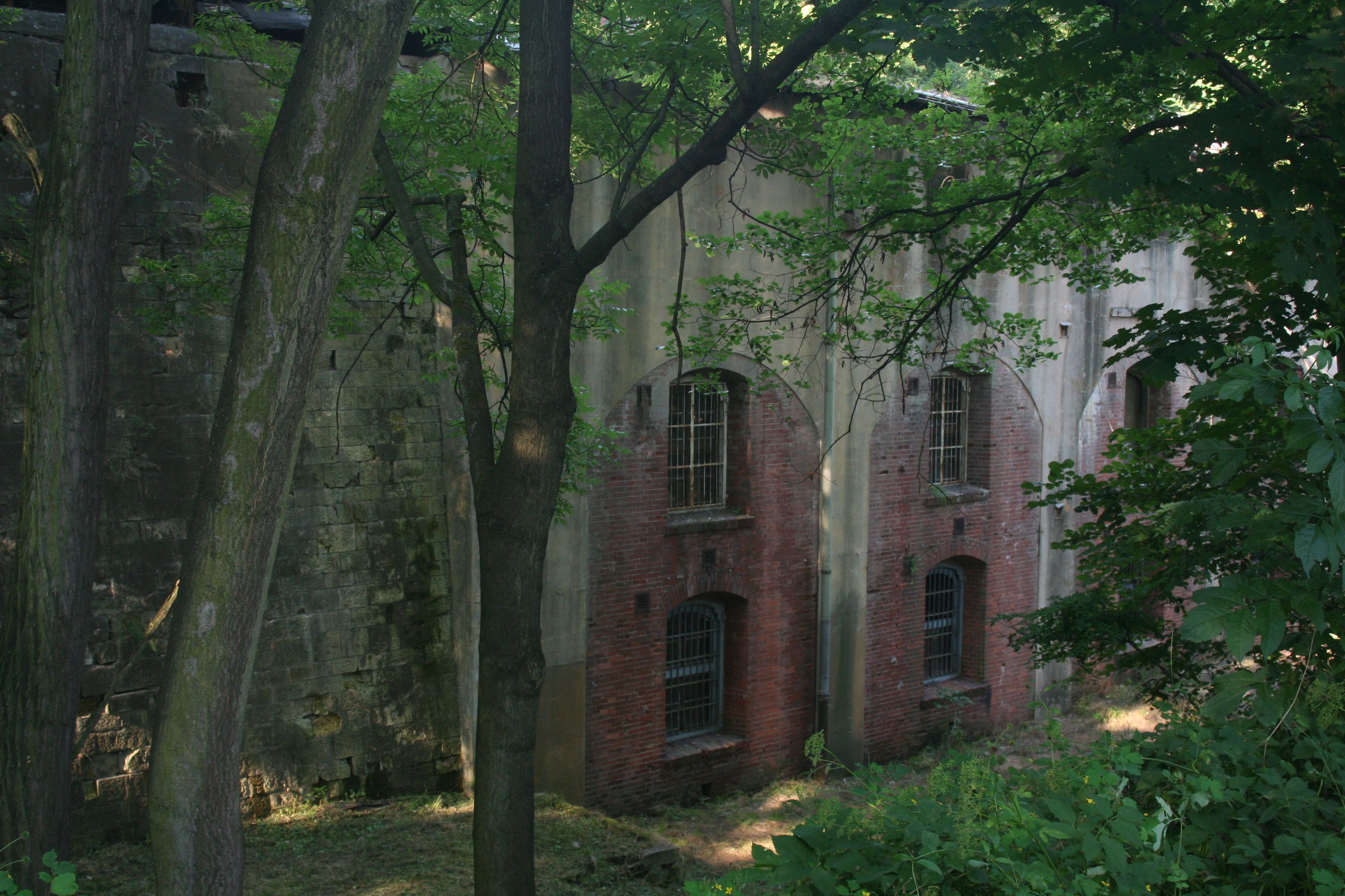 Fort Dlubnia