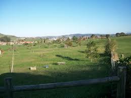 Alianza Park