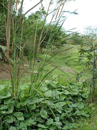Inbio Parque