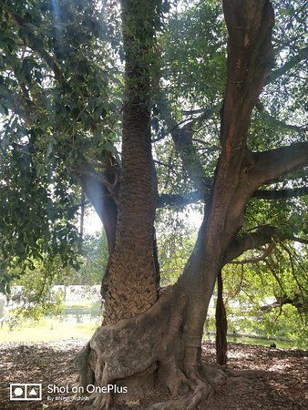 Ecopark