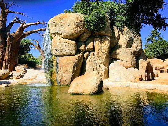 Bioparc de Valencia
