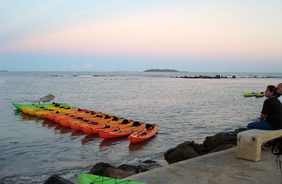 Bioluminescent Bay