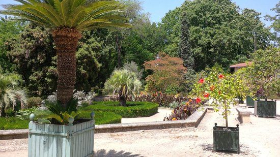 Jardín de plantas de París