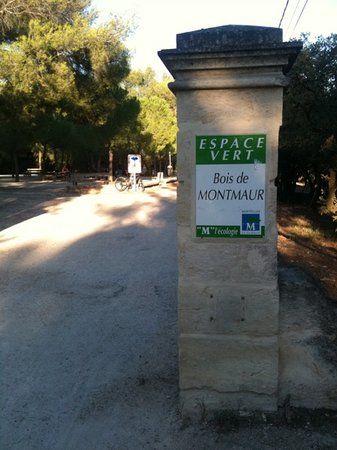Bosque de Montmaur