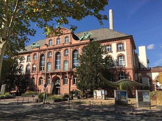 Senckenberg Natural History Museum
