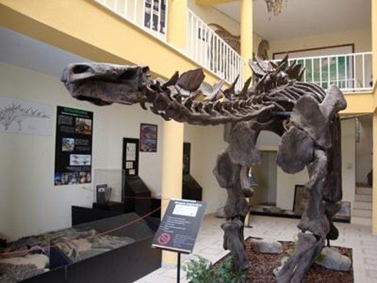 Museu da Lourinhã