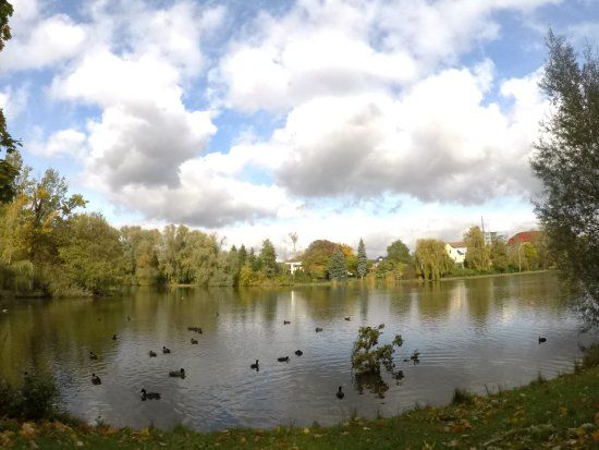 Obersee