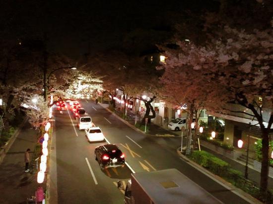 Nakano Street